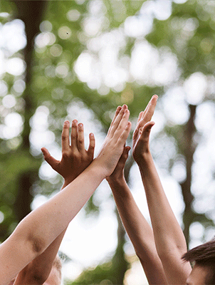 77����-ר������ָ��������ƽ̨