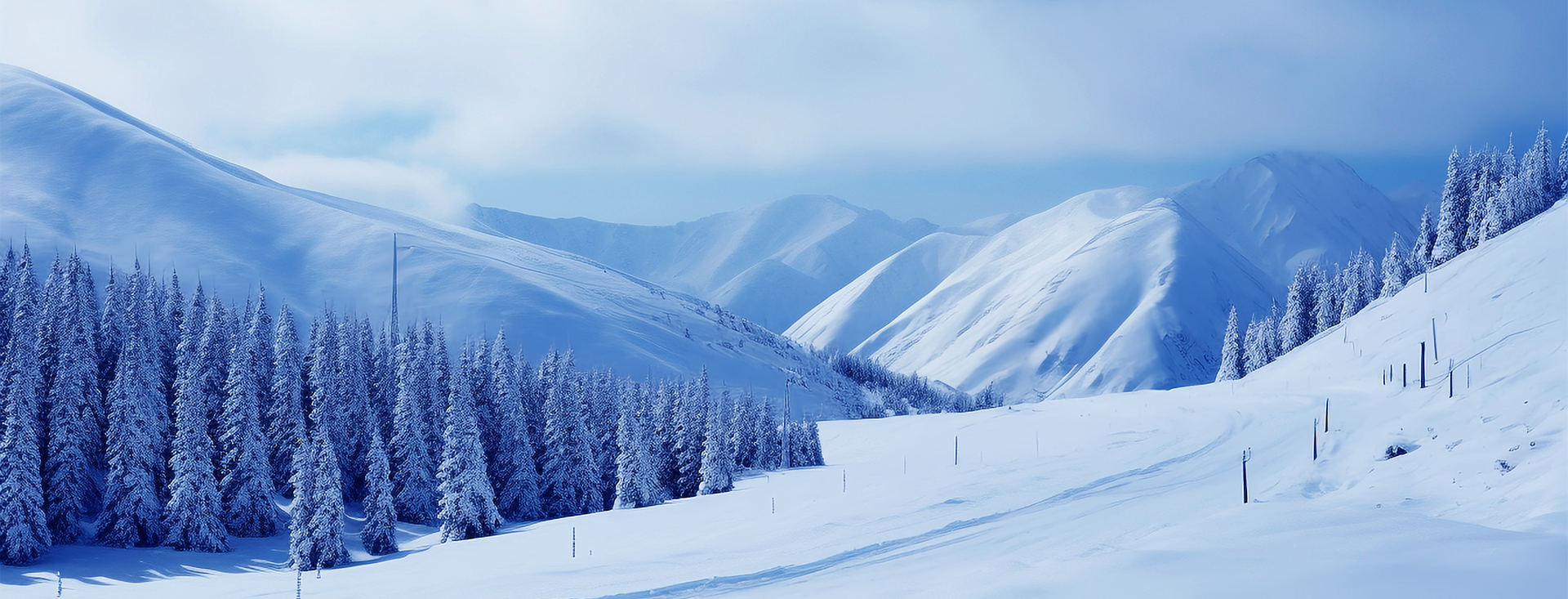 77����-ר������ָ��������ƽ̨